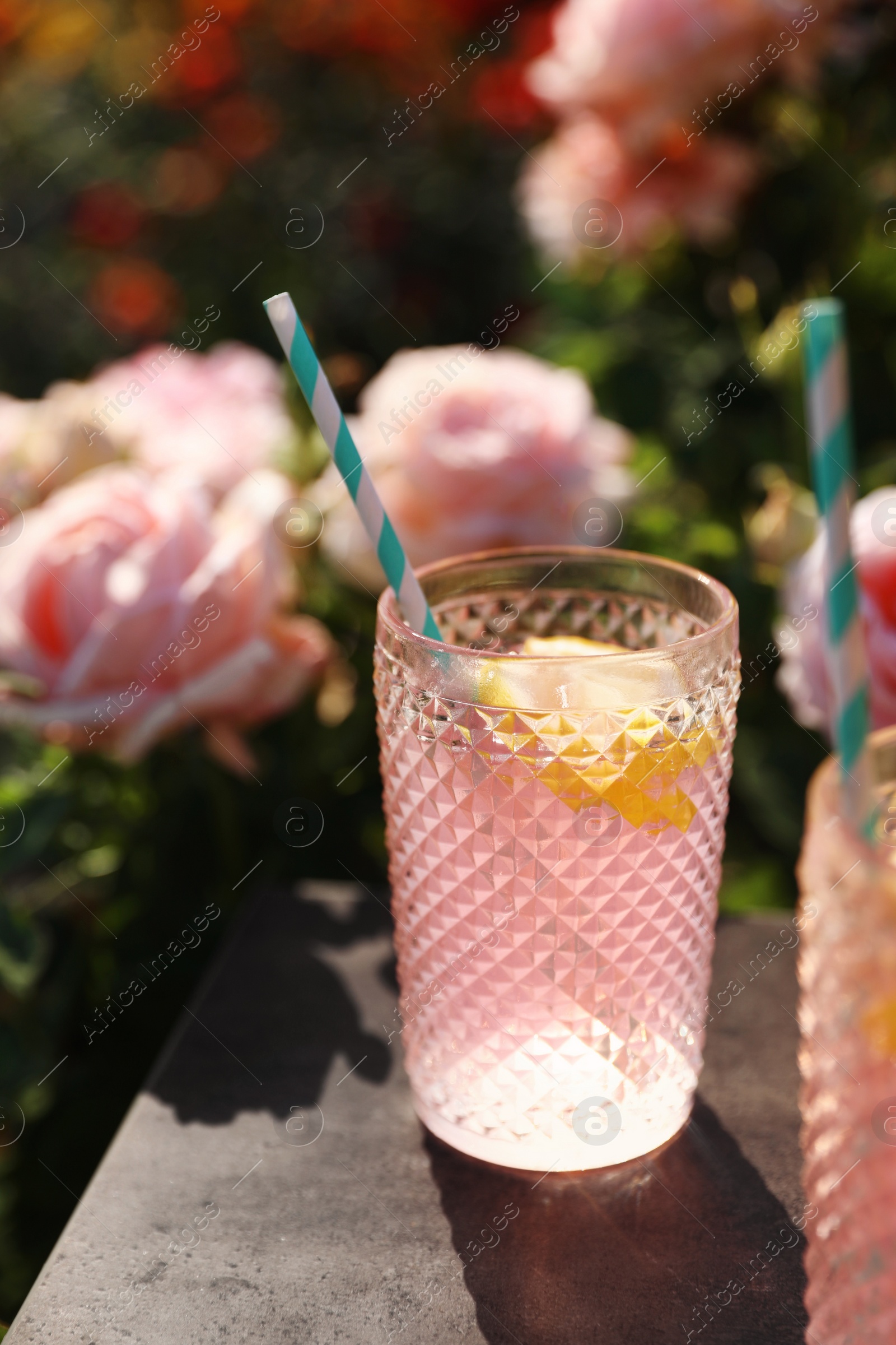 Photo of Glass of pink rose lemonade on table in blooming garden