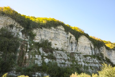 Photo of Picturesque view of cliff with forest on sunny day
