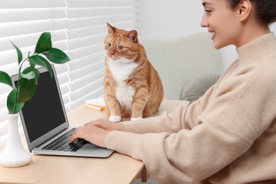 Photo of Woman working with laptop at home. Cute cat sitting on wooden desk near owner