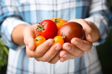 Photo of Woman holding different ripe tomatoes, closeup view