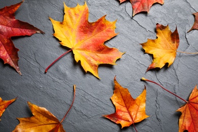 Photo of Flat lay composition with autumn leaves on grey stone background
