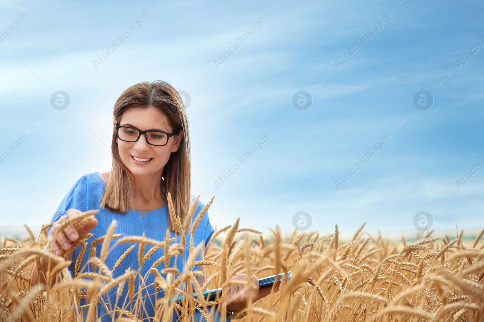 Photo of Young agronomist with clipboard and notebook in grain field. Cereal farming