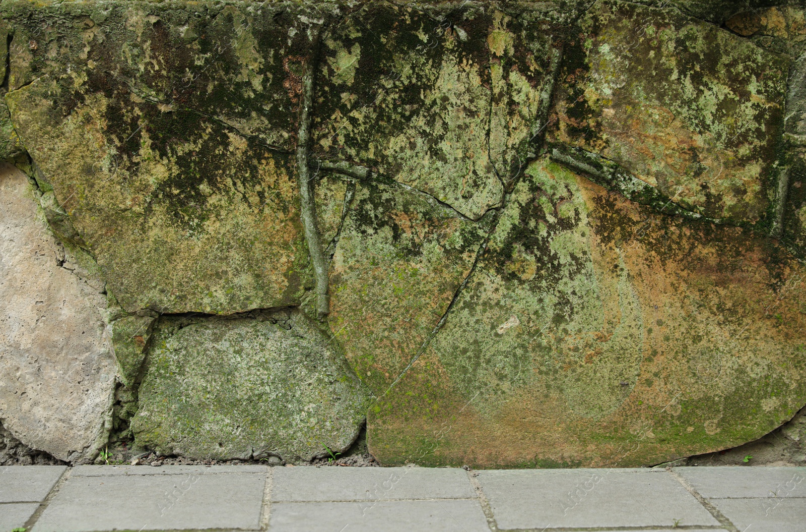 Photo of Stone wall with green moss outdoors, closeup