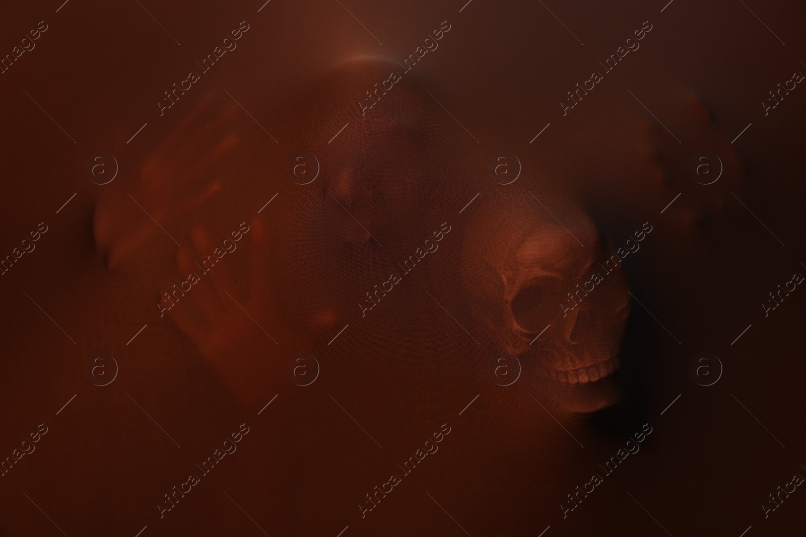 Photo of Silhouette of creepy ghost with skulls behind brown cloth