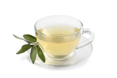 Photo of Cup of aromatic sage tea and fresh leaves isolated on white