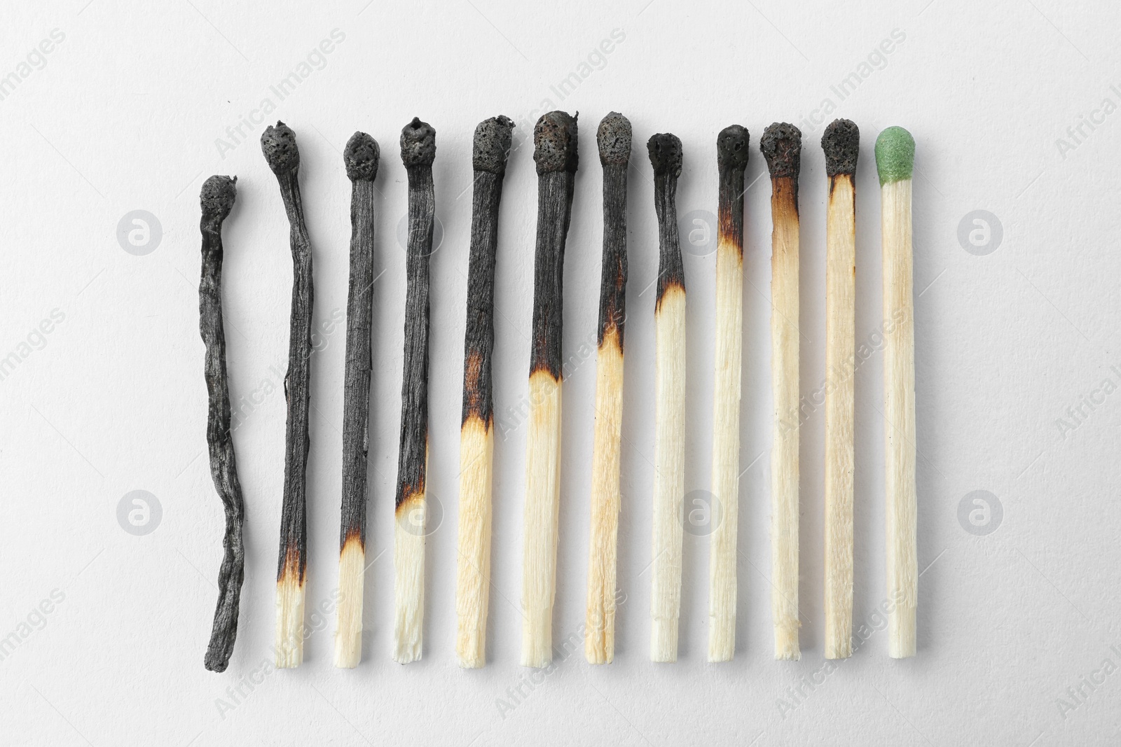 Photo of Row of burnt matches and whole one on white background, top view. Human life phases concept