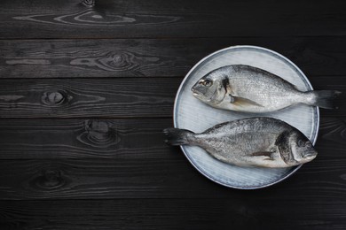 Fresh raw dorado fish on black wooden table, top view. Space for text