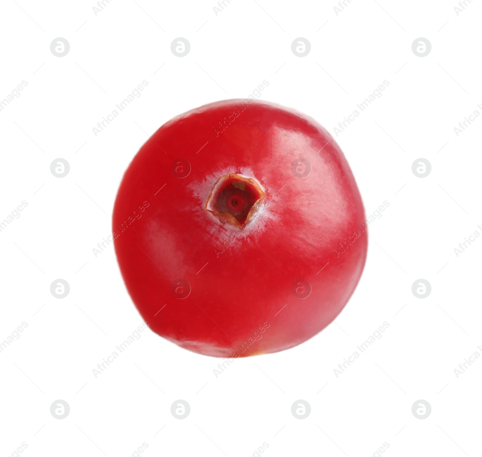 Photo of One fresh ripe cranberry isolated on white