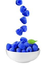 Image of Fresh blue raspberries falling into bowl on white background