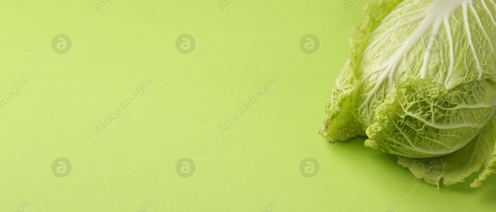 Image of Fresh ripe Chinese cabbage on green background, space for text. Banner design