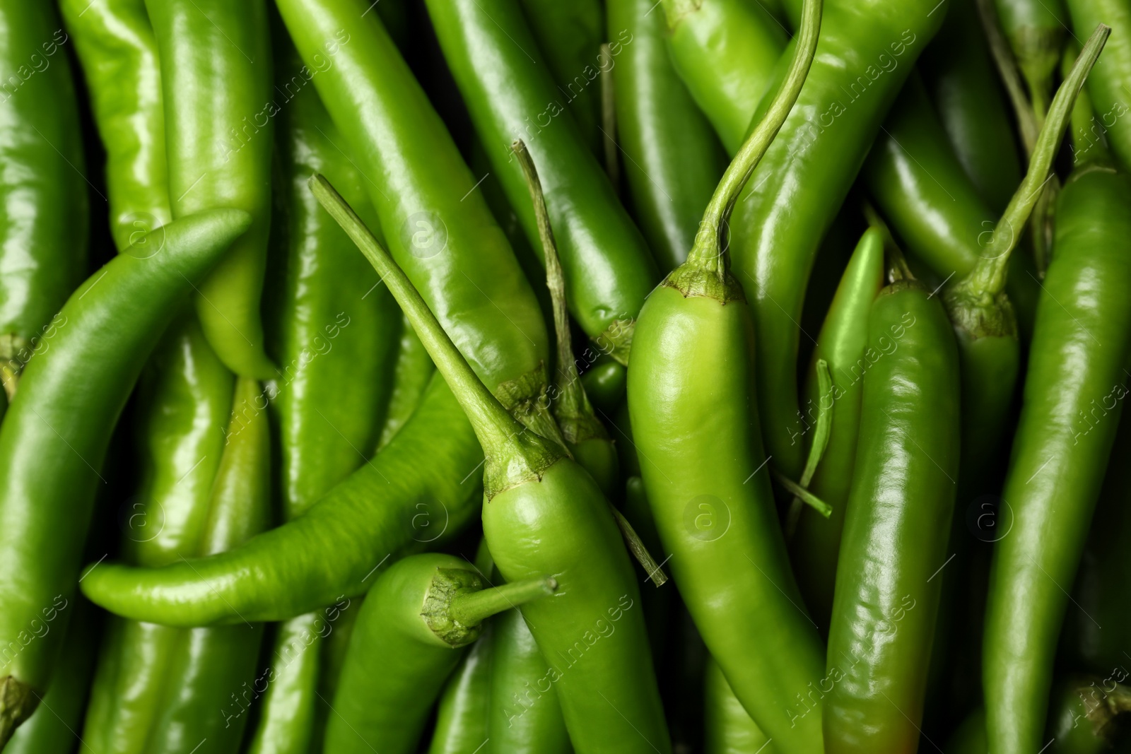 Photo of Ripe hot chili peppers as background, closeup