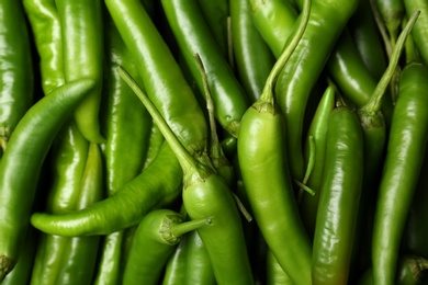 Photo of Ripe hot chili peppers as background, closeup