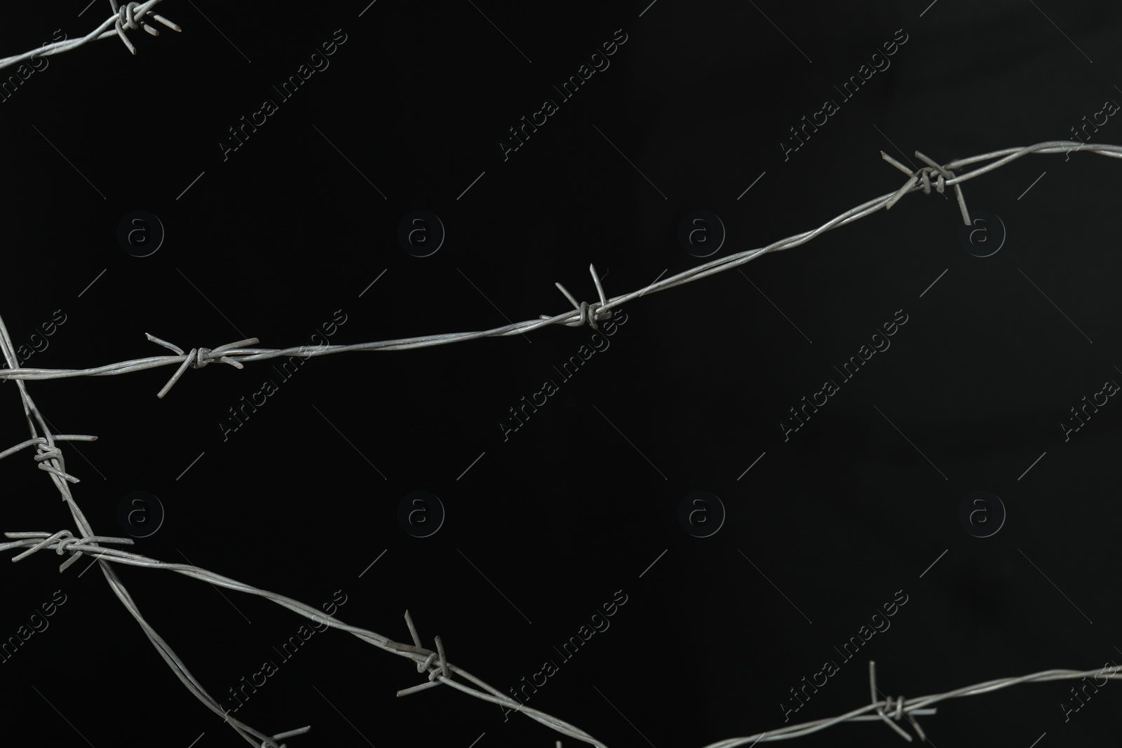 Photo of Shiny metal barbed wire on black background