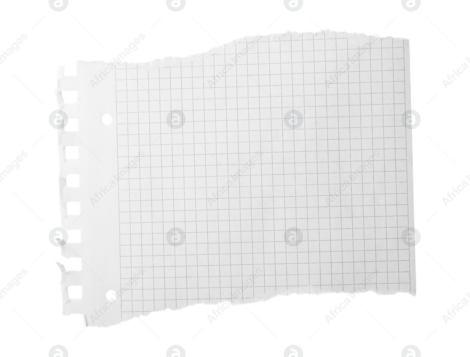 Photo of Piece of blank notebook paper isolated on white. Space for design