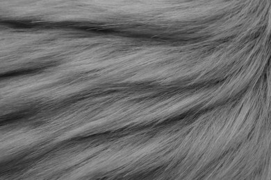 Grey faux fur as background, top view