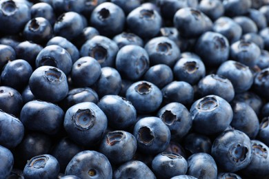 Photo of Many tasty fresh blueberries as background, closeup view