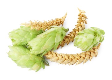 Photo of Fresh green hops and wheat spikes on white background, top view