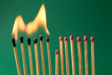 Photo of Burning and whole matches on green background, closeup. Stop destruction concept