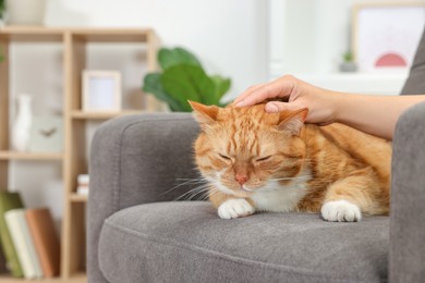 Photo of Woman petting cute ginger cat on armchair at home, closeup. Space for text