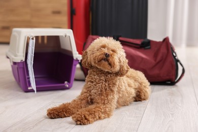 Photo of Travel with pet. Cute dog, carrier and bag on floor indoors