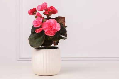 Photo of Beautiful begonia flower in pot on table near white wall, space for text