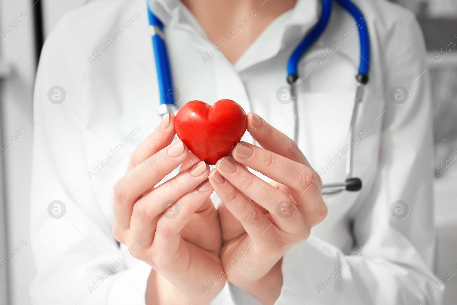 Photo of Doctor holding small red heart, closeup. Heart attack concept