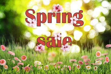 Image of Spring sale flyer design with text, beautiful flowers and green meadow, bokeh effect