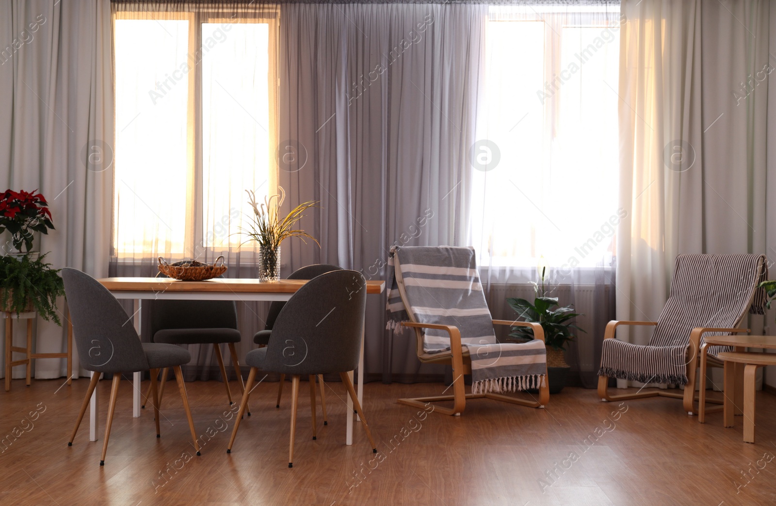 Photo of Windows with stylish curtains in living room interior