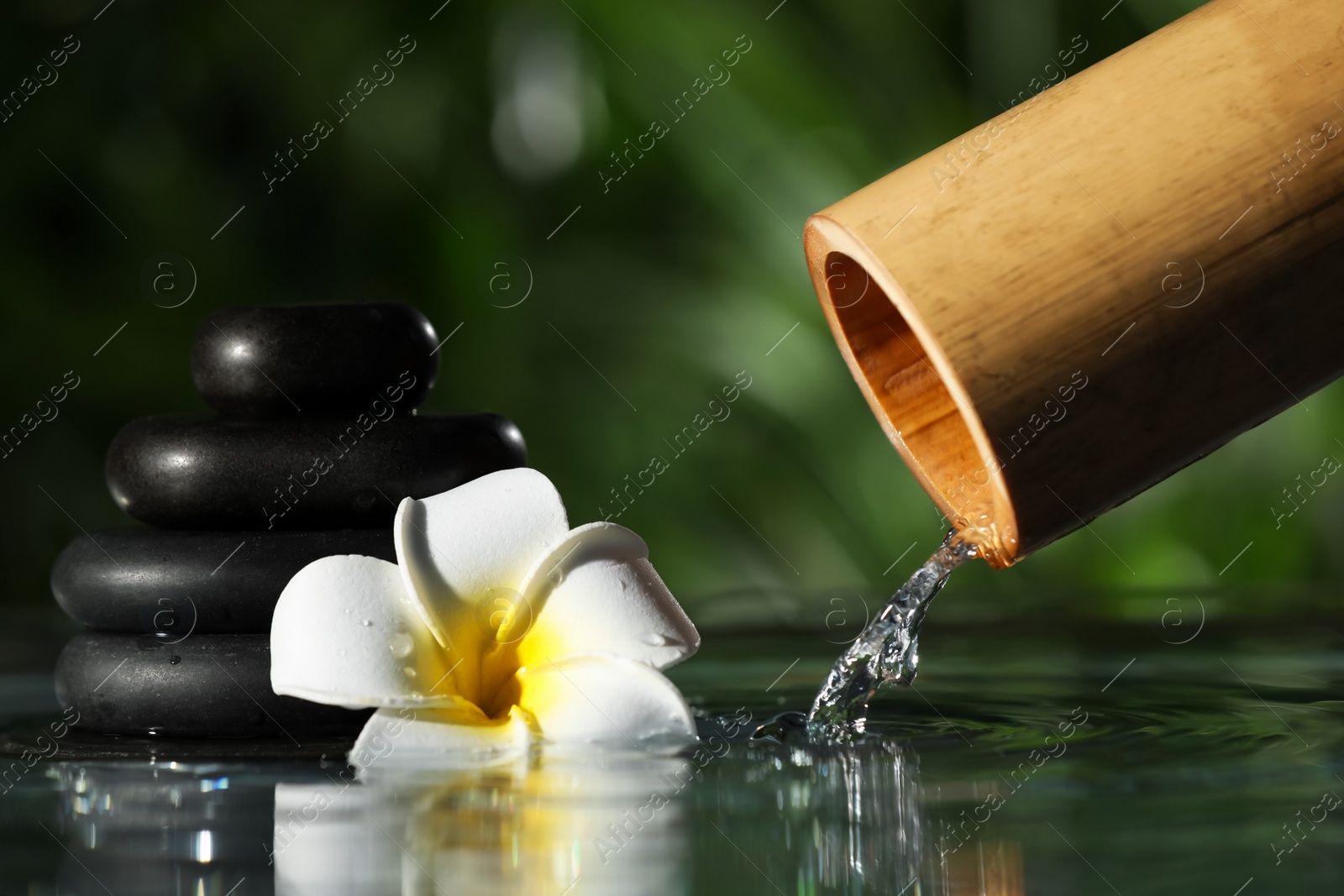 Photo of Composition with black pebble, flower and bamboo fountain against blurred background, closeup