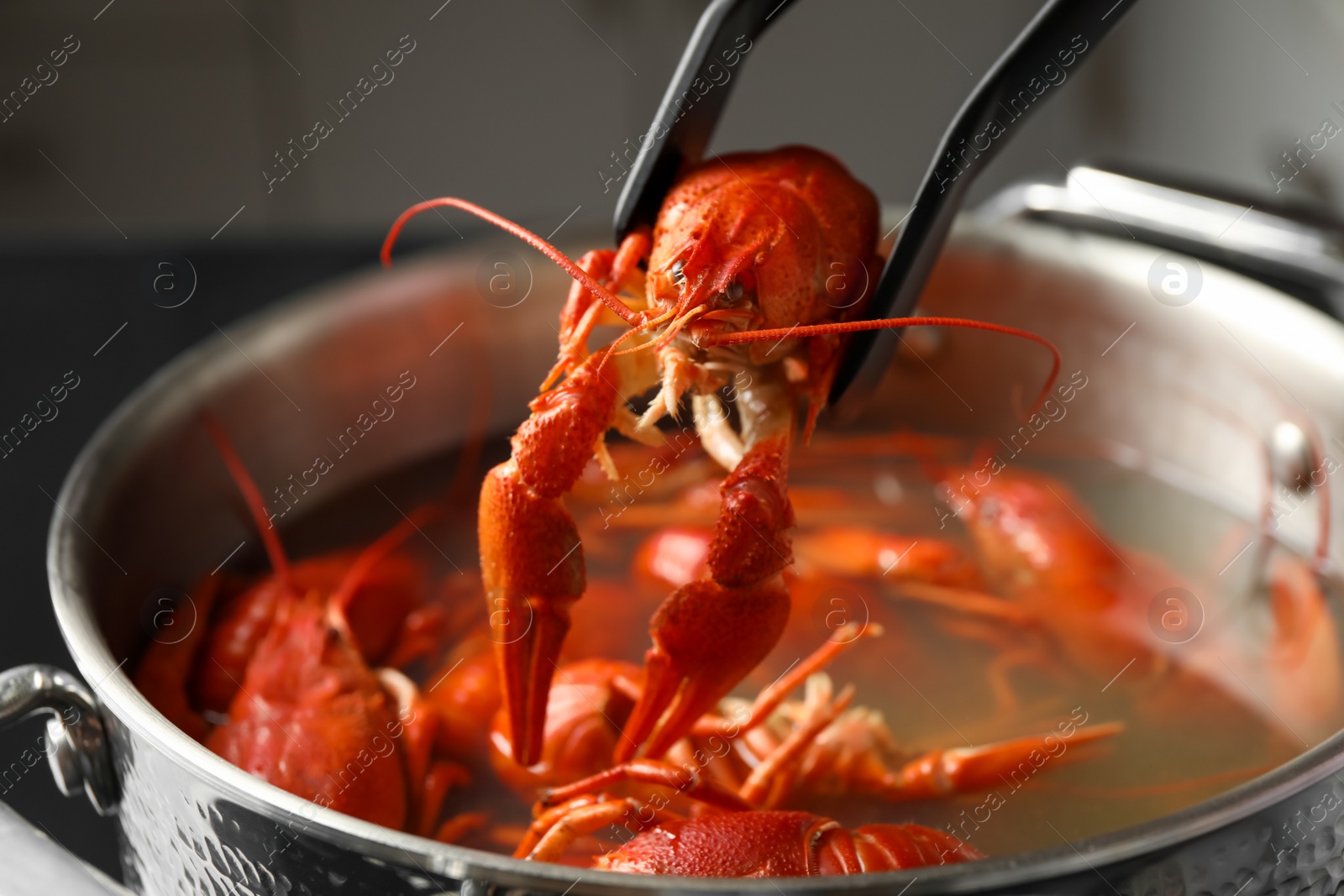 Photo of Tongs with fresh delicious crayfish over pot, closeup