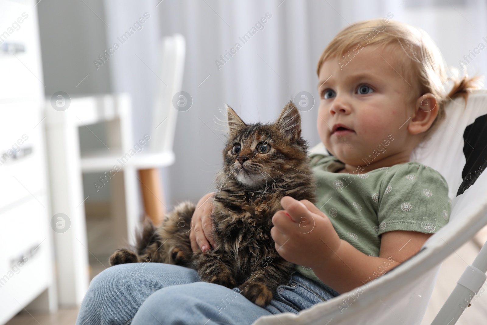 Photo of Cute little child with adorable pet sitting in armchair at home