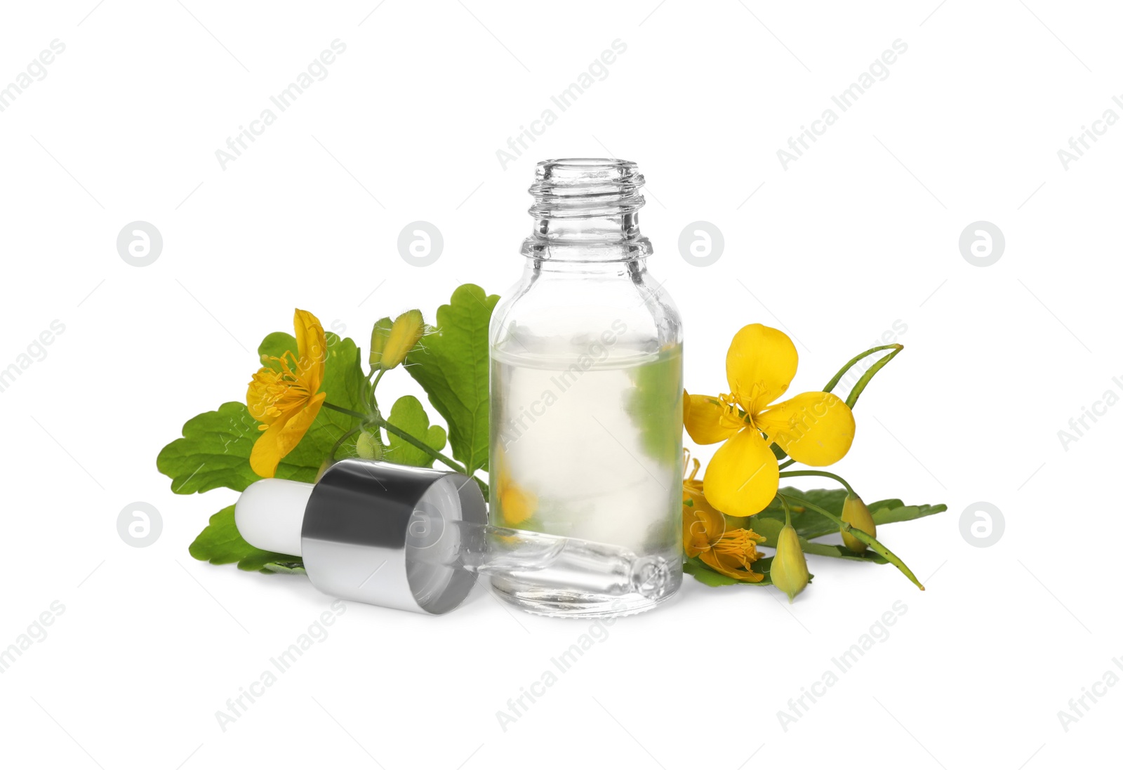 Photo of Bottle of essential oil, pipette and celandine on white background