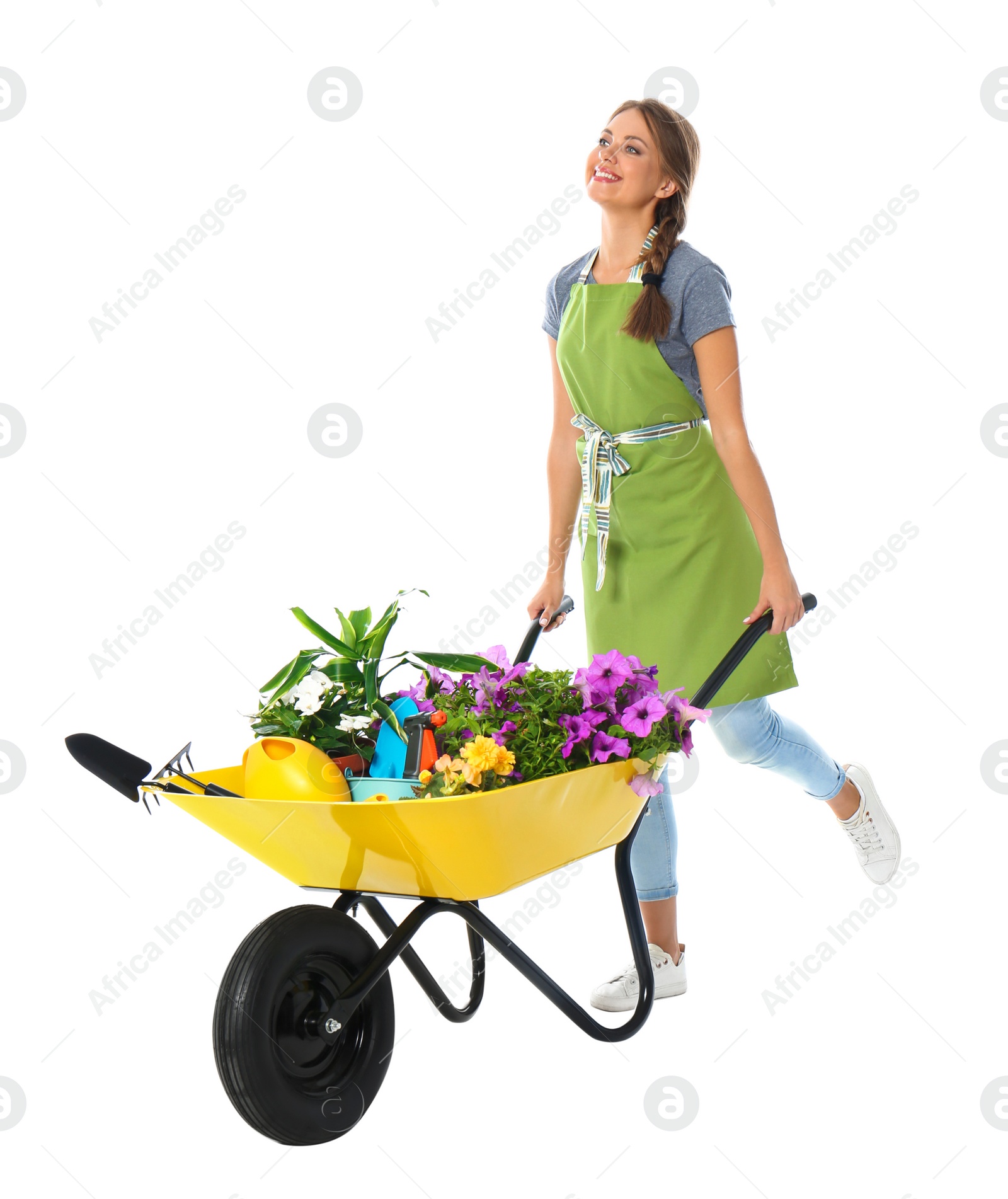 Photo of Female gardener with wheelbarrow and plants on white background