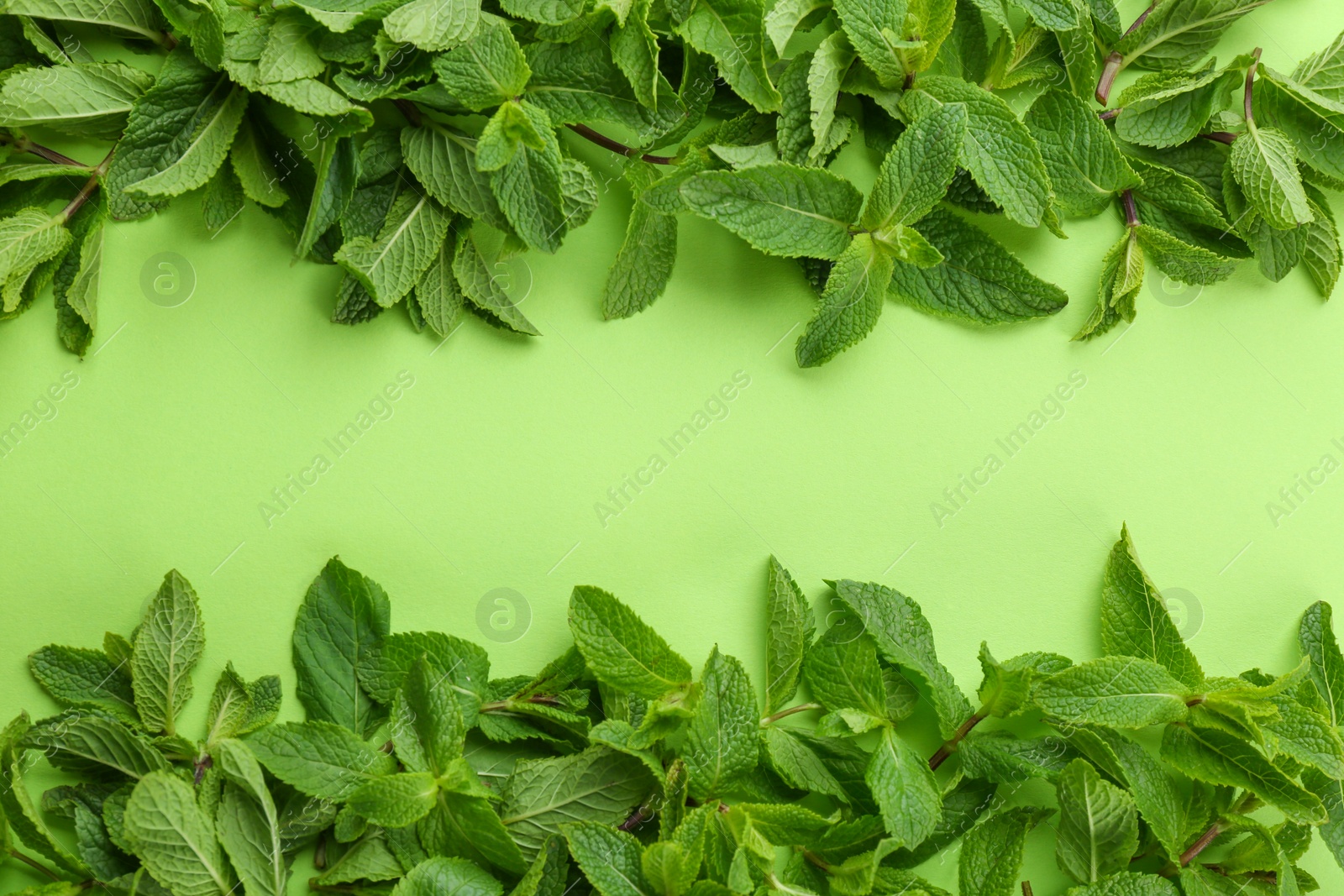 Photo of Fresh green mint leaves on color background, top view