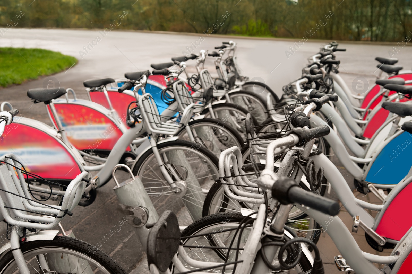 Photo of Many bicycles parked outdoors. Bike rental service