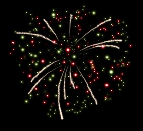 Image of Beautiful bright firework on black background, illustration