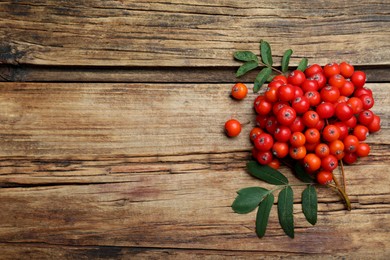 Photo of Bunch of ripe rowan berries with green leaves on wooden table, flat lay. Space for text