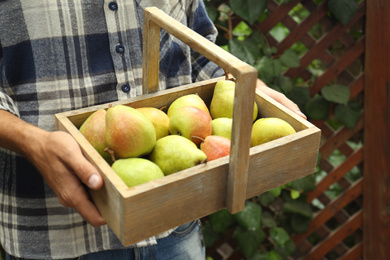 Photo of Woman holding wooden crate of fresh ripe pears outdoors, closeup