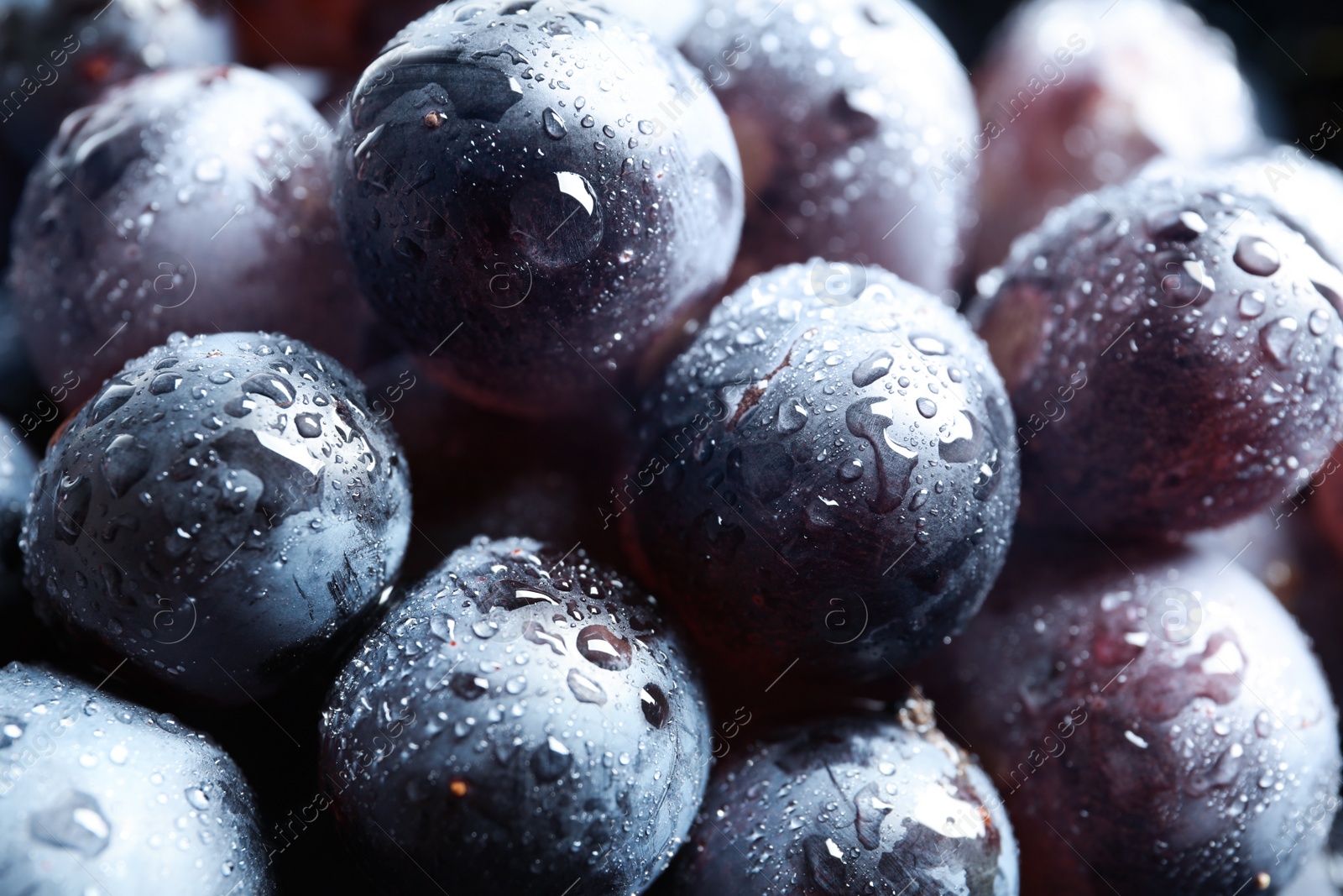 Photo of Bunch of fresh ripe juicy grapes as background. Closeup view