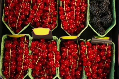 Photo of Many fresh red currants on cardboard containers at market, top view