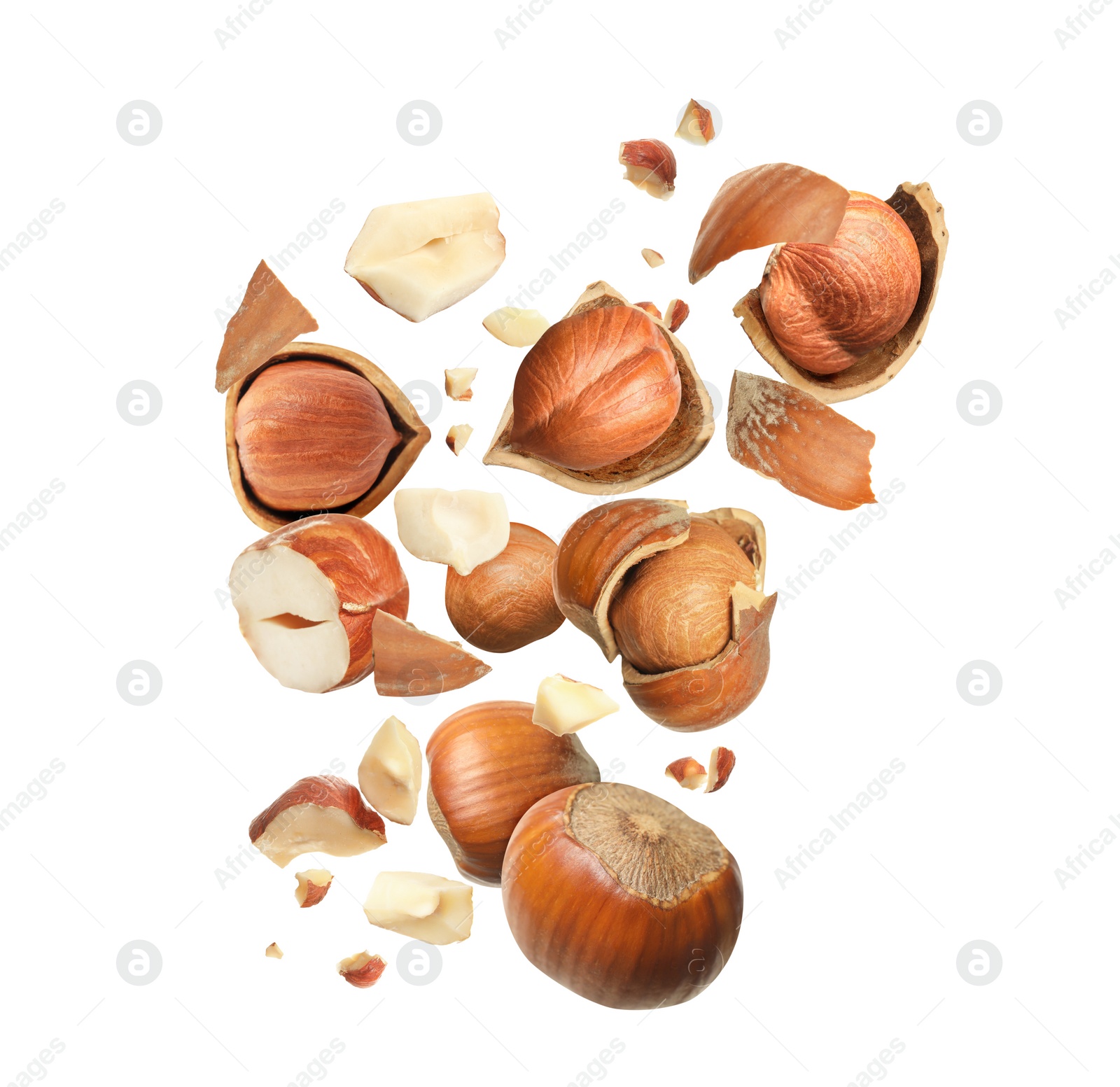 Pieces of tasty hazelnuts falling on white background Image of Pieces of tasty hazelnuts falling on white background