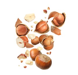 Image of Pieces of tasty hazelnuts falling on white background