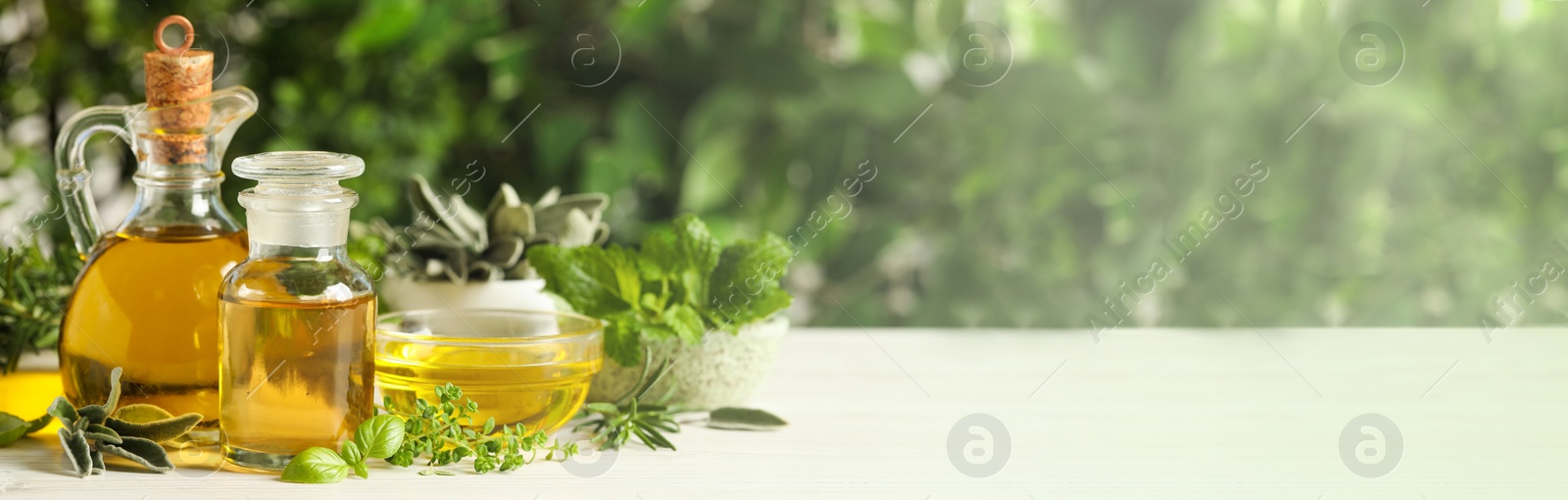 Image of Different fresh herbs with oils on white wooden table, space for text. Banner design