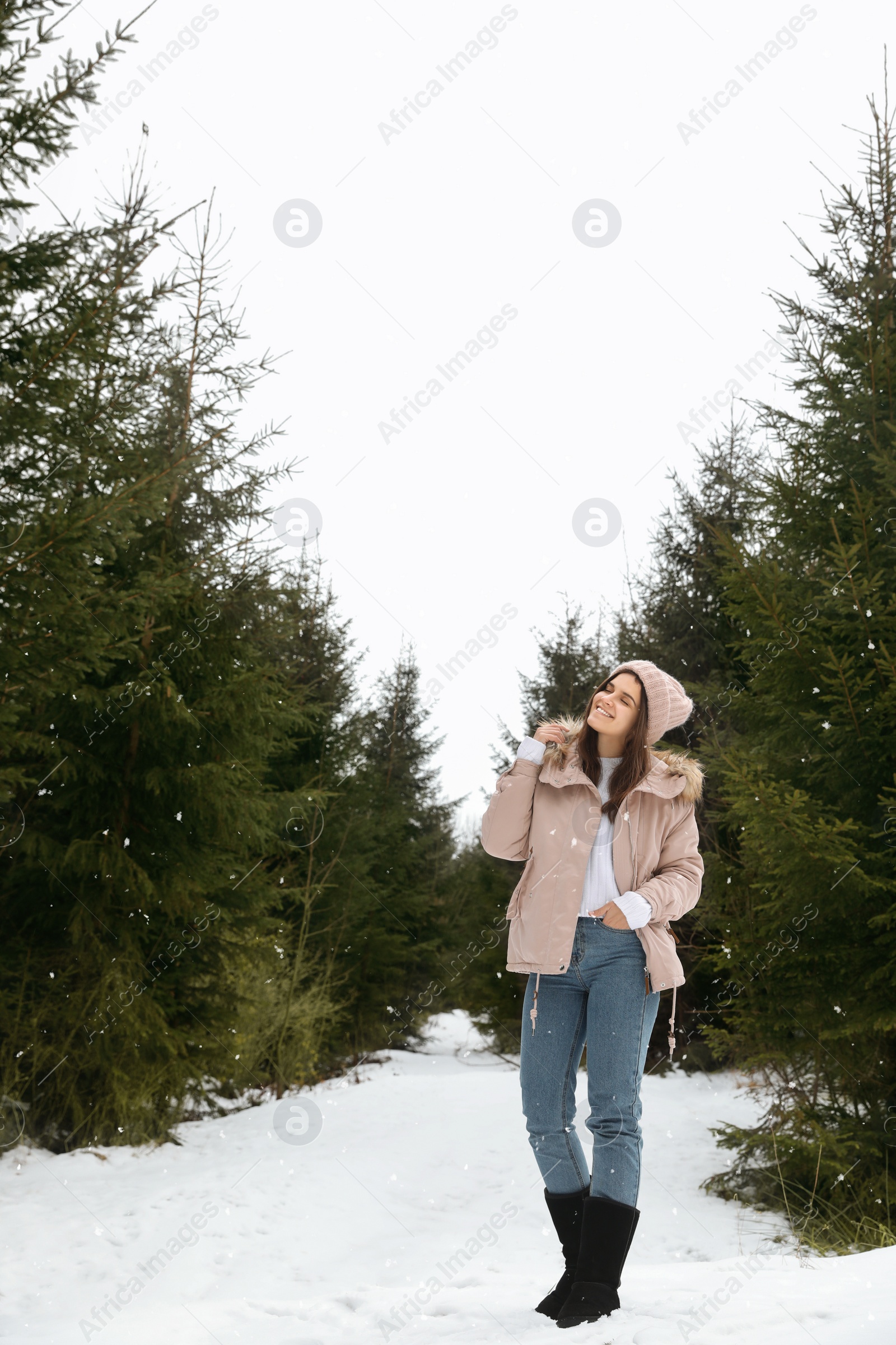 Photo of Young woman in snowy conifer forest. Winter vacation