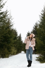 Young woman in snowy conifer forest. Winter vacation