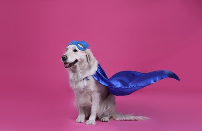 Photo of Adorable dog in blue superhero cape and mask on pink background