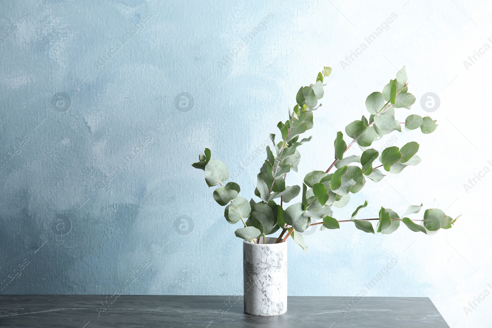 Photo of Bunch of eucalyptus branches with fresh leaves in vase on table