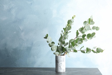 Photo of Bunch of eucalyptus branches with fresh leaves in vase on table