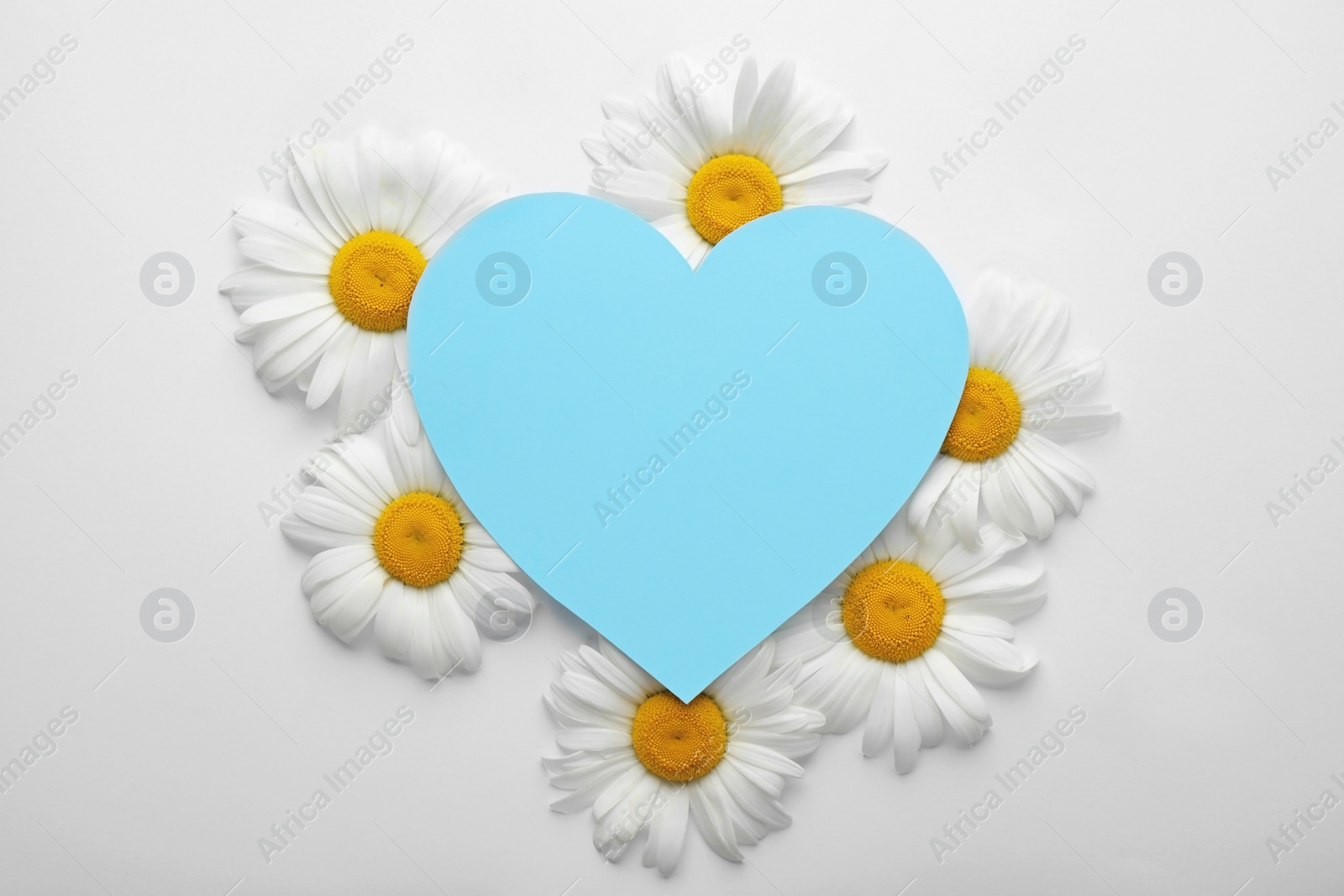 Photo of Beautiful chamomile flowers with empty heart shaped sheet of paper on white background, top view. Space for text