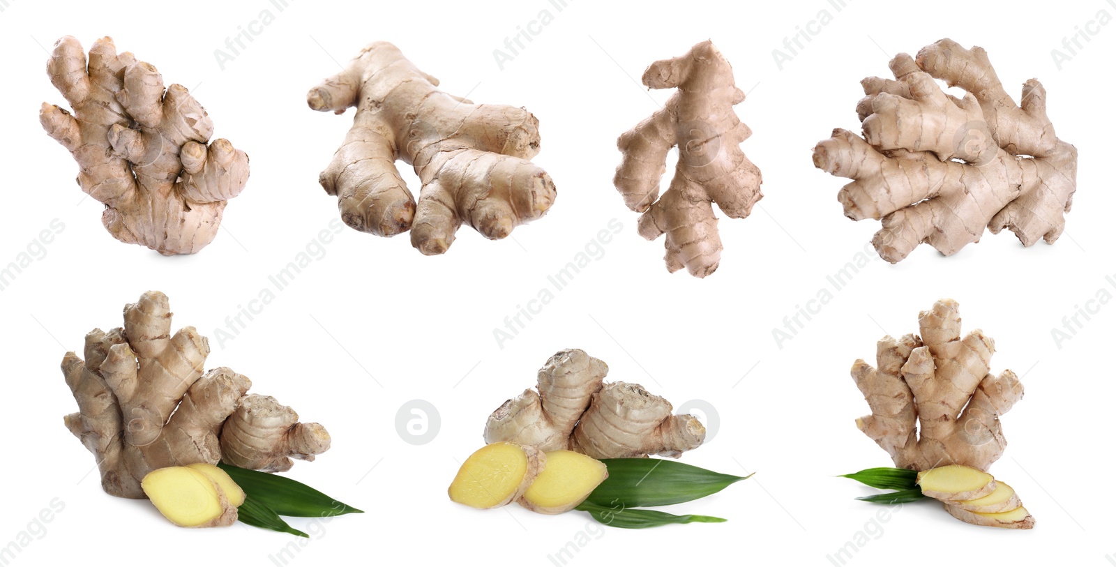 Image of Collage with ripe ginger roots and leaves on white background